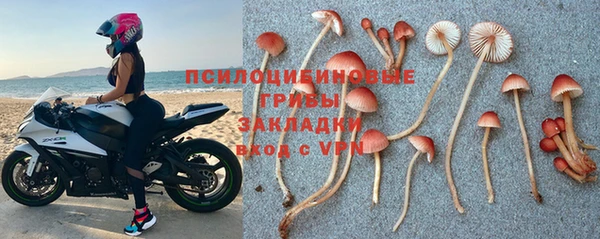 apvp Костерёво