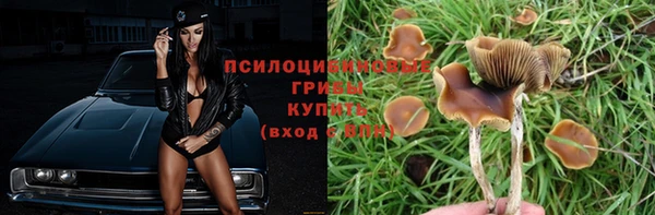 apvp Костерёво